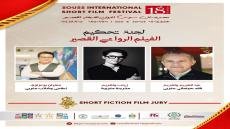 تجارب الإبداع البصري : في مهرجان سوس الدولي للفيلم القصير آيت ملول ، المغرب